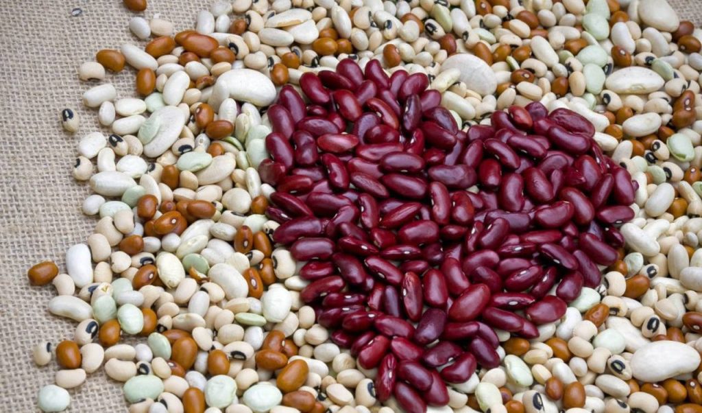 Φασόλια — πηγή πρωτεϊνών και ενέργειας